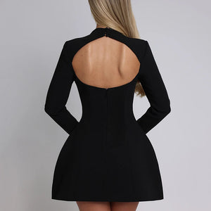 Long Sleeve Backless Sexy Mini Dress